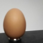 eggies avatar